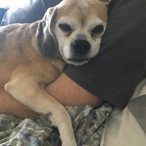 Meet your Posher, Rebecca